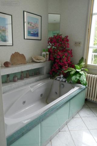 Pavillon à vendre à Le Pont-Chrétien-Chabenet dans l'Indre (36800), ref : 037/2490