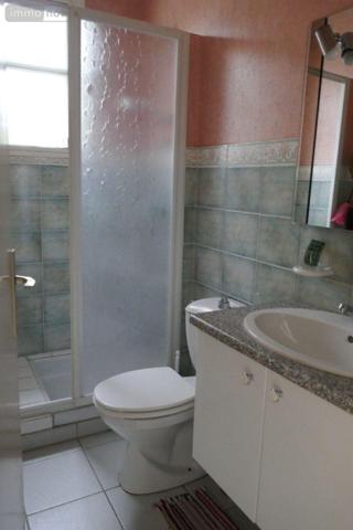 Pavillon à vendre à Le Pont-Chrétien-Chabenet dans l'Indre (36800), ref : 037/2490