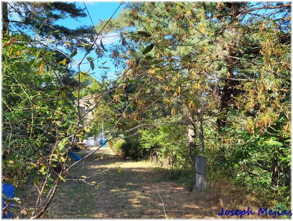 Boffres (07440) Domaine boisé de 30 hectares – Vue imprenable sur les Alpes et le Vercors