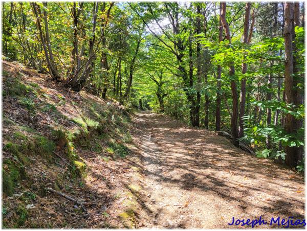 Boffres (07440) Domaine boisé de 30 hectares – Vue imprenable sur les Alpes et le Vercors