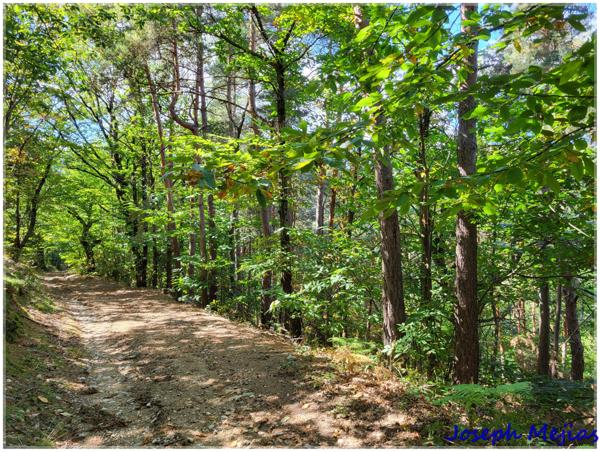 Boffres (07440) Domaine boisé de 30 hectares – Vue imprenable sur les Alpes et le Vercors