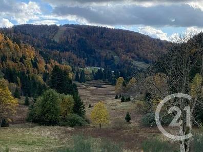 Appartement à vendre  7 pièces - 109,60 m2 LA BRESSE - 88