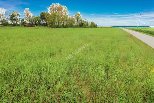 10 min de Guignicourt - 5 min St Erme : TERRAINS A BATIR