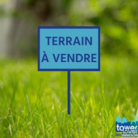 Terrain