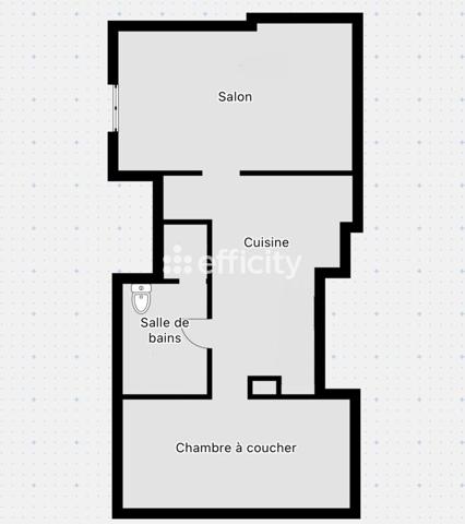 Appartement 2 pièces - 50 m² Exclusivité efficity