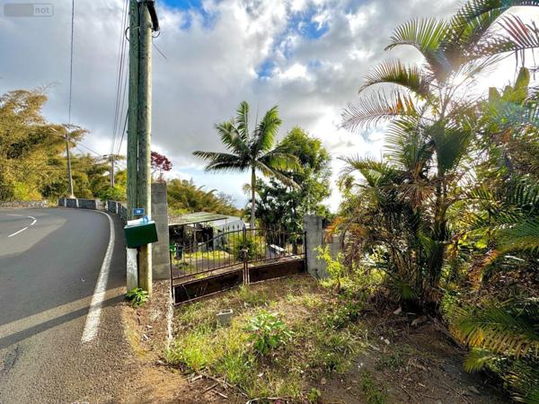 Maison à restaurer à vendre à La-Chaloupe à la Réunion (97416), ref : 97424/151