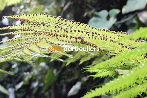 Vente Terrain748 m² - Bonneville (74130)