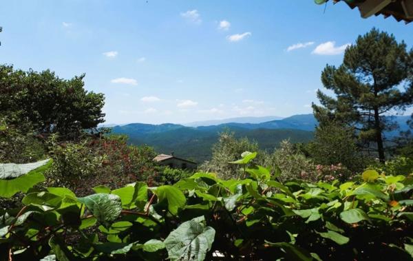 Vente Maison Saint-paul-le-jeune   