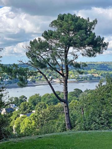 Vente Maison de luxe Plougastel-Daoulas 10 Pièces 250 m²