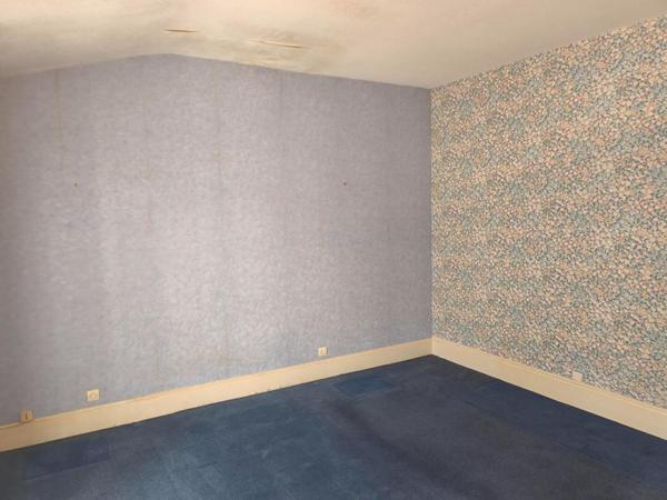 MAISON DE VILLE A FORT POTENTIEL 237 M2  GARAGE ET JARDIN MAZAMET CENTRE