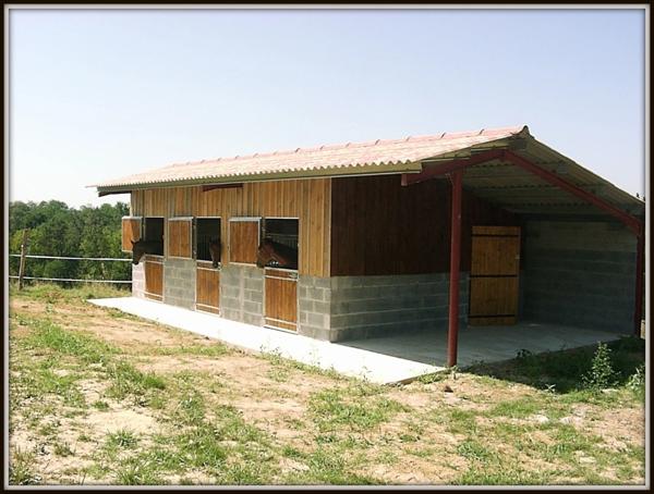 PROPRIETE 13 Ha - MAISON DE MAITRE + APPARTEMENT + BOX CHEVAUX