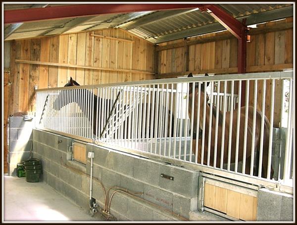 PROPRIETE 13 Ha - MAISON DE MAITRE + APPARTEMENT + BOX CHEVAUX