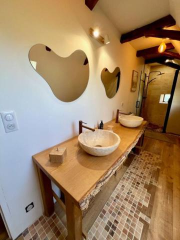 Maison Saint Martin La Meanne 5 pièce(s) 225 m2