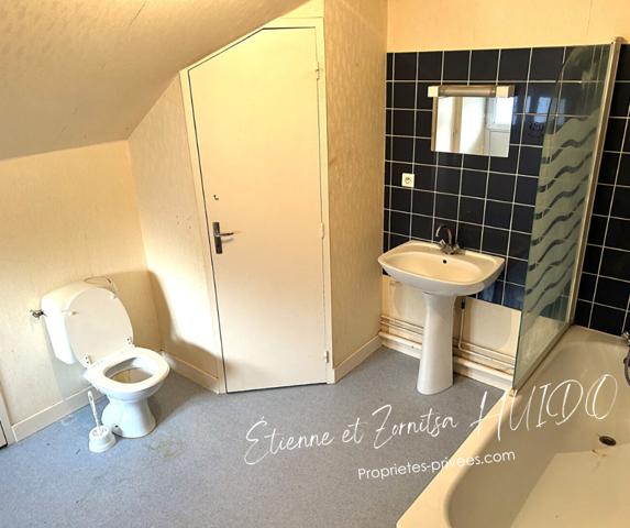 Maison Pruniers 10 pièce(s) 256 m2