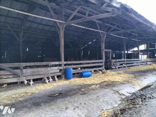 Ferme 