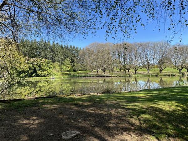 Maison à vendre 123 600 € Saint-Yrieix-la-Perche 1 pièce 35 m² DPE
