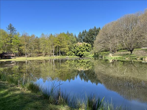 Maison à vendre 123 600 € Saint-Yrieix-la-Perche 1 pièce 35 m² DPE