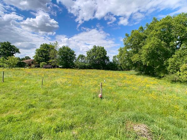 Maison a renover ? Le Puy Saint Bonnet (axe Cholet/Mortagne-sur-Sevre)