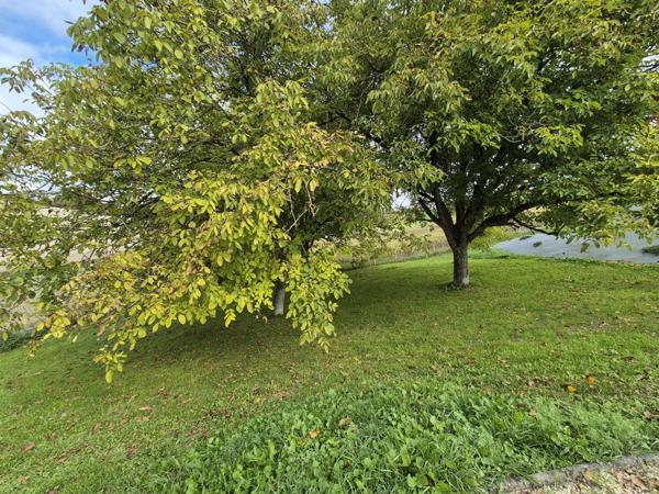 Montagrier (24350) Dordogne, Périgueux, Montagrier, Maison de plain pied 205 m², 4 chambres, terrain arboré clos, piscine sel