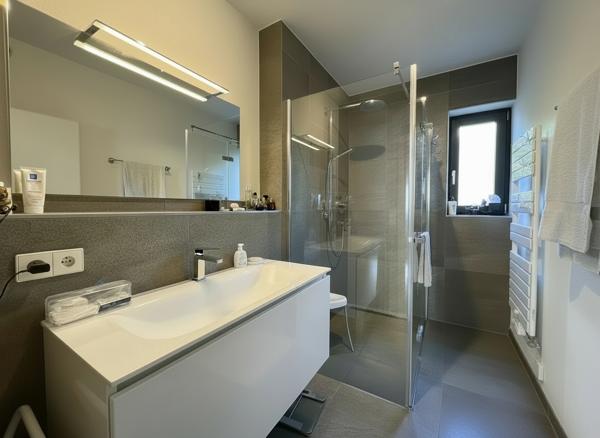 Maison Verrieres Le Buisson 7 pièce(s) 182.7 m2