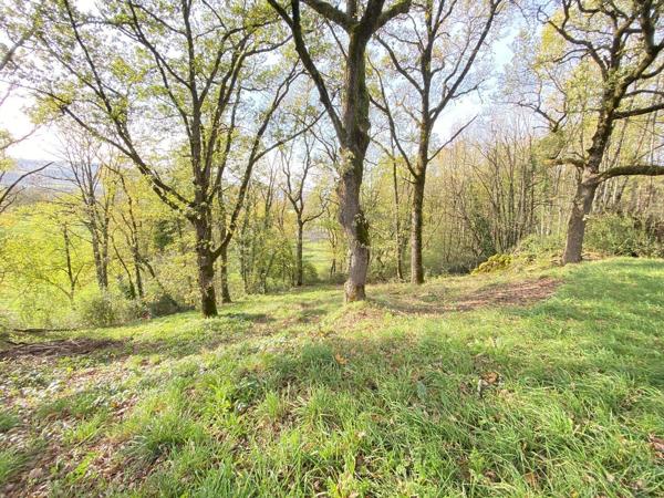 Rare, votre futur nid douillet face aux bois et au château : projet prêt à bâtir Prudhomat