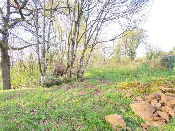 Rare, votre futur nid douillet face aux bois et au château : projet prêt à bâtir Prudhomat