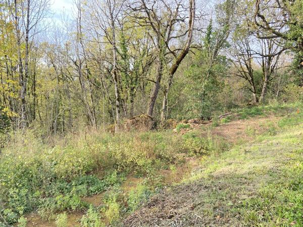 Rare, votre futur nid douillet face aux bois et au château : projet prêt à bâtir Prudhomat