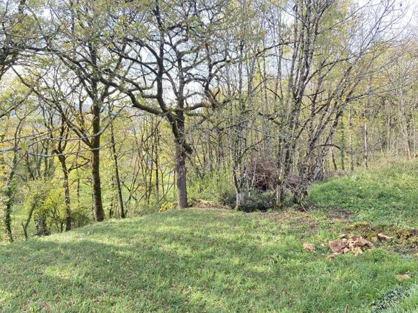 Rare, votre futur nid douillet face aux bois et au château : projet prêt à bâtir Prudhomat