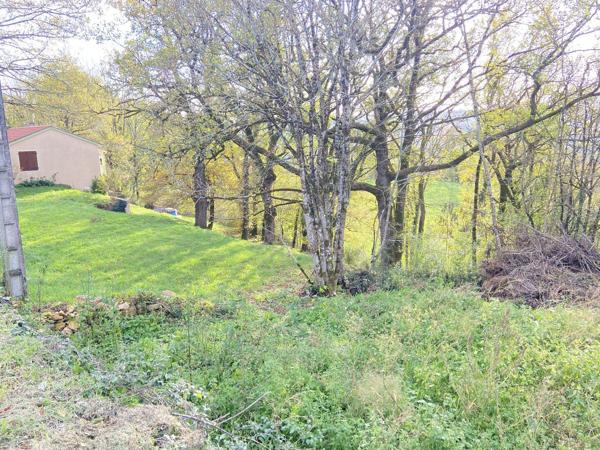 Rare, votre futur nid douillet face aux bois et au château : projet prêt à bâtir Prudhomat