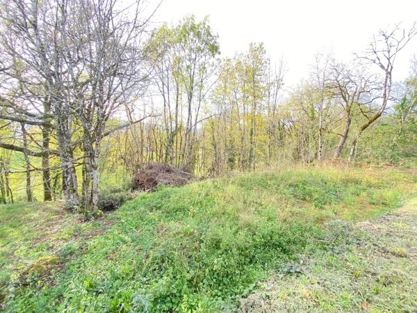 Rare, votre futur nid douillet face aux bois et au château : projet prêt à bâtir Prudhomat