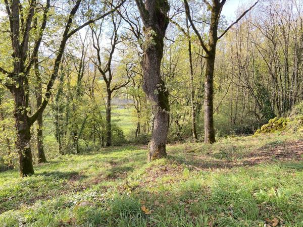 Rare, votre futur nid douillet face aux bois et au château : projet prêt à bâtir Prudhomat