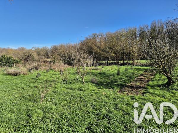 Maison à vendre 5 pièces 146 m² Aubigny