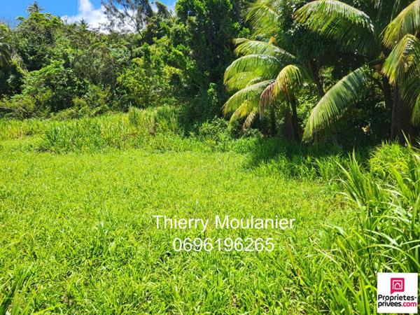 Trinité, Terrain constructible avec vue mer 11914 m2