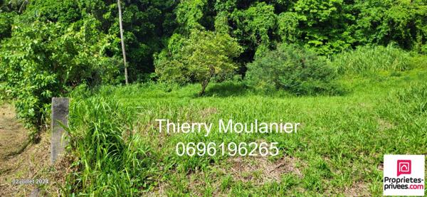 Trinité, Terrain constructible avec vue mer 11914 m2
