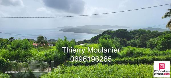 Trinité, Terrain constructible avec vue mer 11914 m2