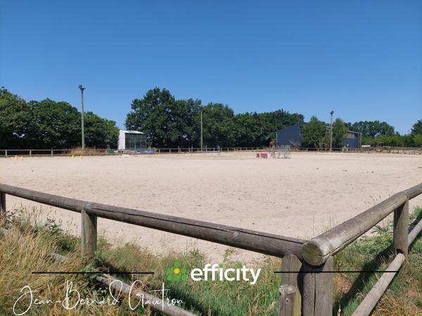 Local Commercial 3 pièces - 3800 m² Exclusivité efficity