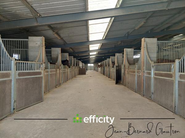 Local Commercial 3 pièces - 3800 m² Exclusivité efficity