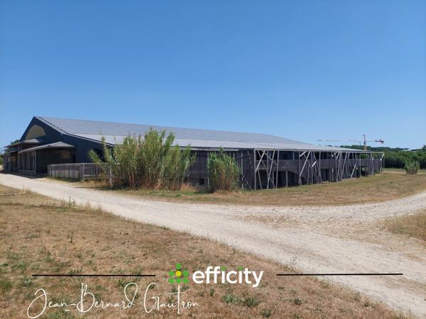 Local Commercial 3 pièces - 3800 m² Exclusivité efficity