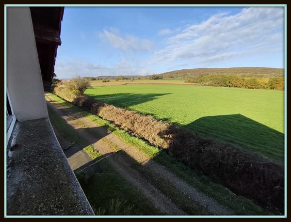 Grande propriété 148 m² + dépendance 220 m² – Terrain 1,4 ha