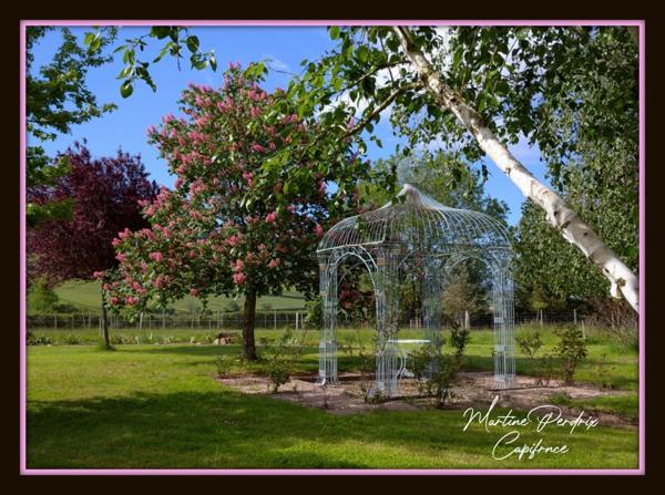 Grande propriété 148 m² + dépendance 220 m² – Terrain 1,4 ha