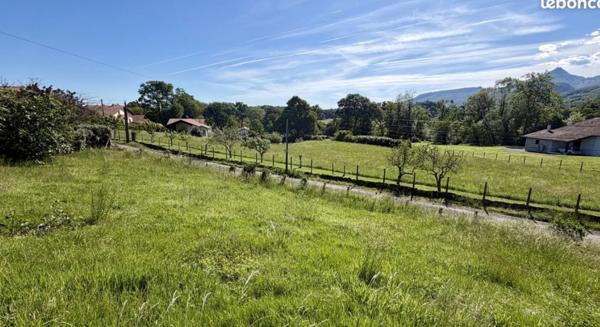 Maison Urrugne 8 pièce(s) 235 m2