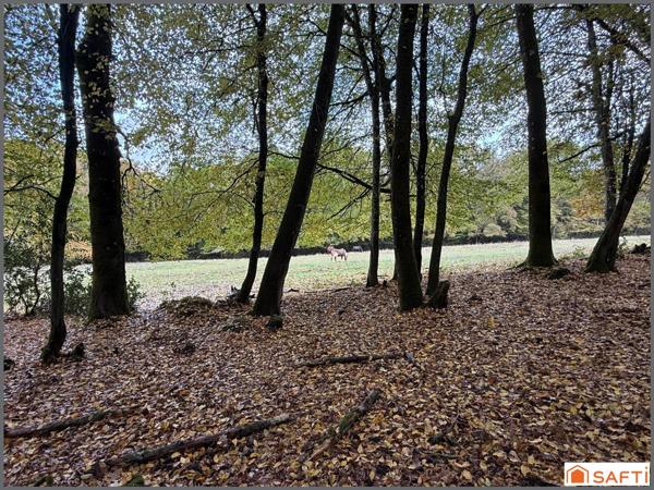 Amoureux de la nature, maison familiale de 150 m2 habitable sur un terrain de 11 150 m2.