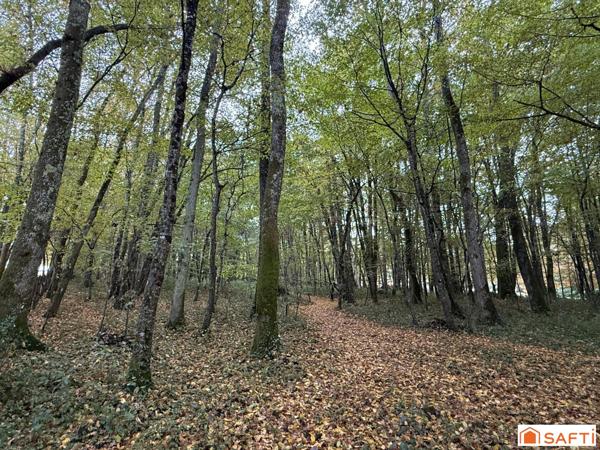 Amoureux de la nature, maison familiale de 150 m2 habitable sur un terrain de 11 150 m2.