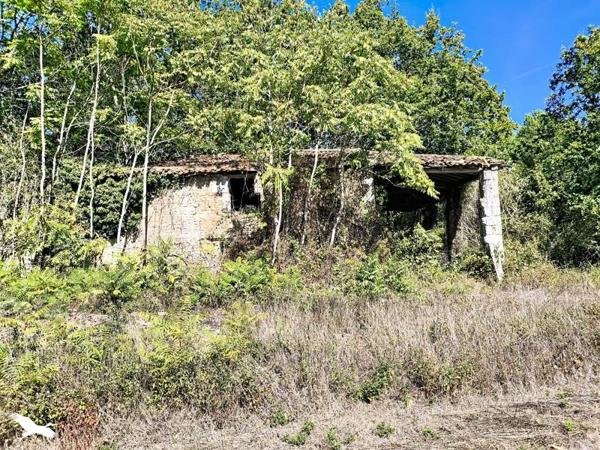 Maison à vendre 69 000 € Montlieu-la-Garde 1 pièce 350 m² DPE