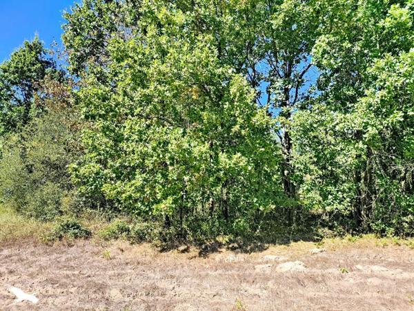 Maison à vendre 69 000 € Montlieu-la-Garde 1 pièce 350 m² DPE