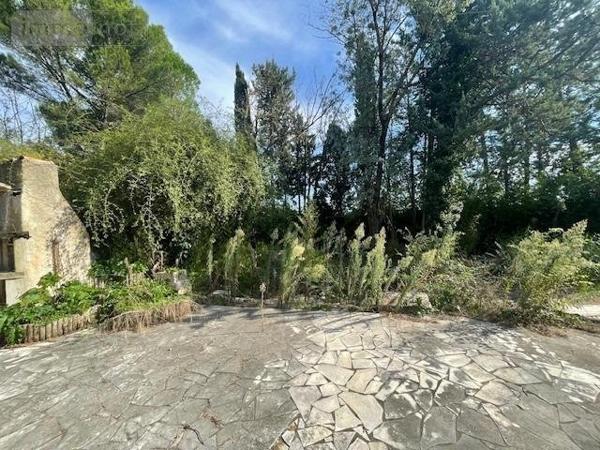 Propriete à vendre à Baillargues dans l'Hérault (34670), ref : 1049627   
ROUTE IMPERIALE