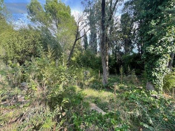 Propriete à vendre à Baillargues dans l'Hérault (34670), ref : 1049627   
ROUTE IMPERIALE
