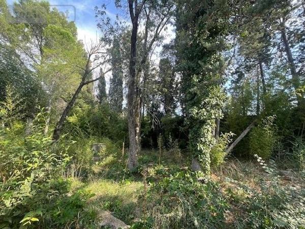 Propriete à vendre à Baillargues dans l'Hérault (34670), ref : 1049627   
ROUTE IMPERIALE