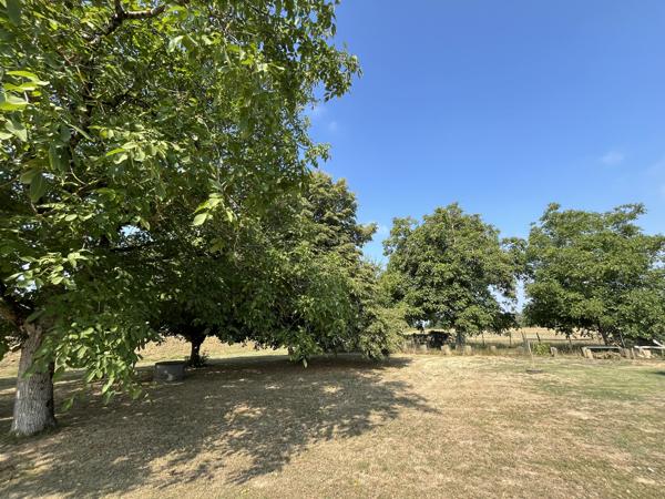 Maison ancienne rénovée 142 M2 avec dépendances sur 4226 M2 de terrain