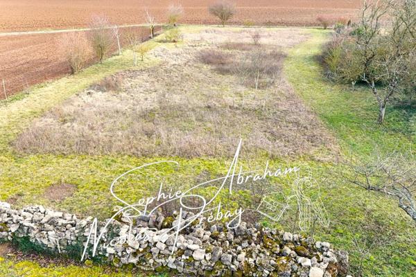 Maison à rénover avec grange attenante et grand terrain